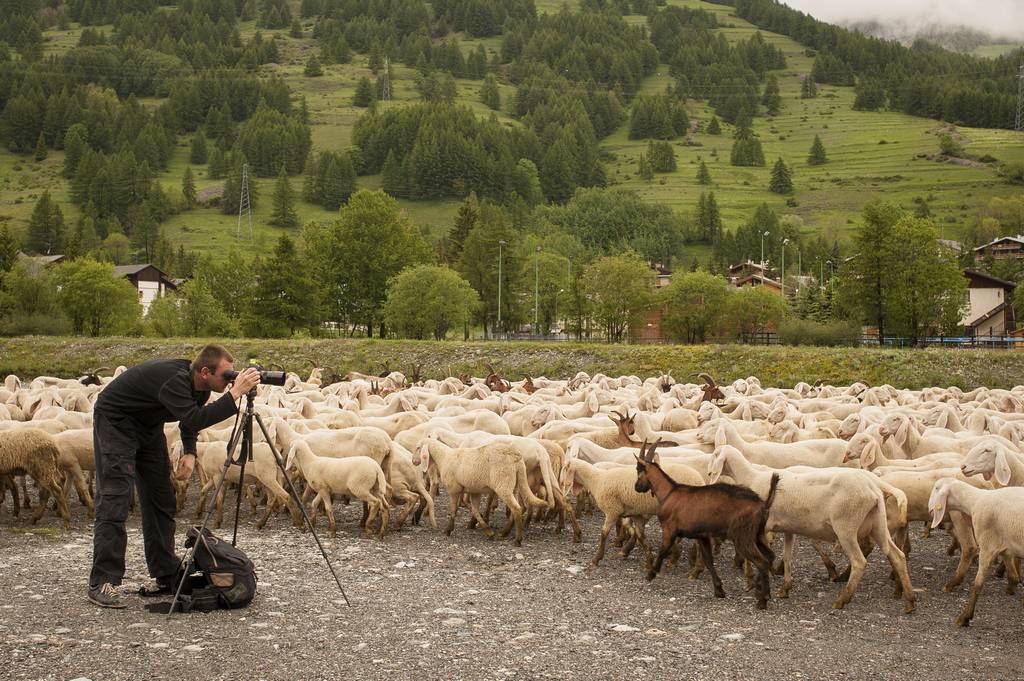 “Ultima Transhumanta”, un proiect de Dragos Lumpan se transforma intr-un film documentar