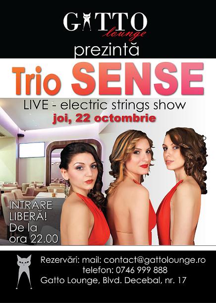 Concert SENSE la Gatto Lounge