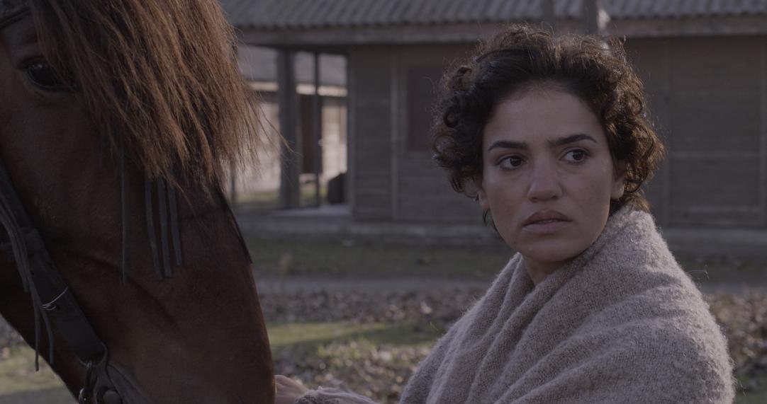 MASTER_Tekir_01-2_MUTE_25fps_4KC_proRes444_P3_BR.00_17_36_24.Still013